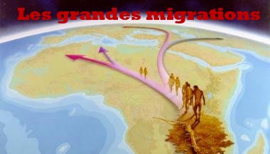migrations